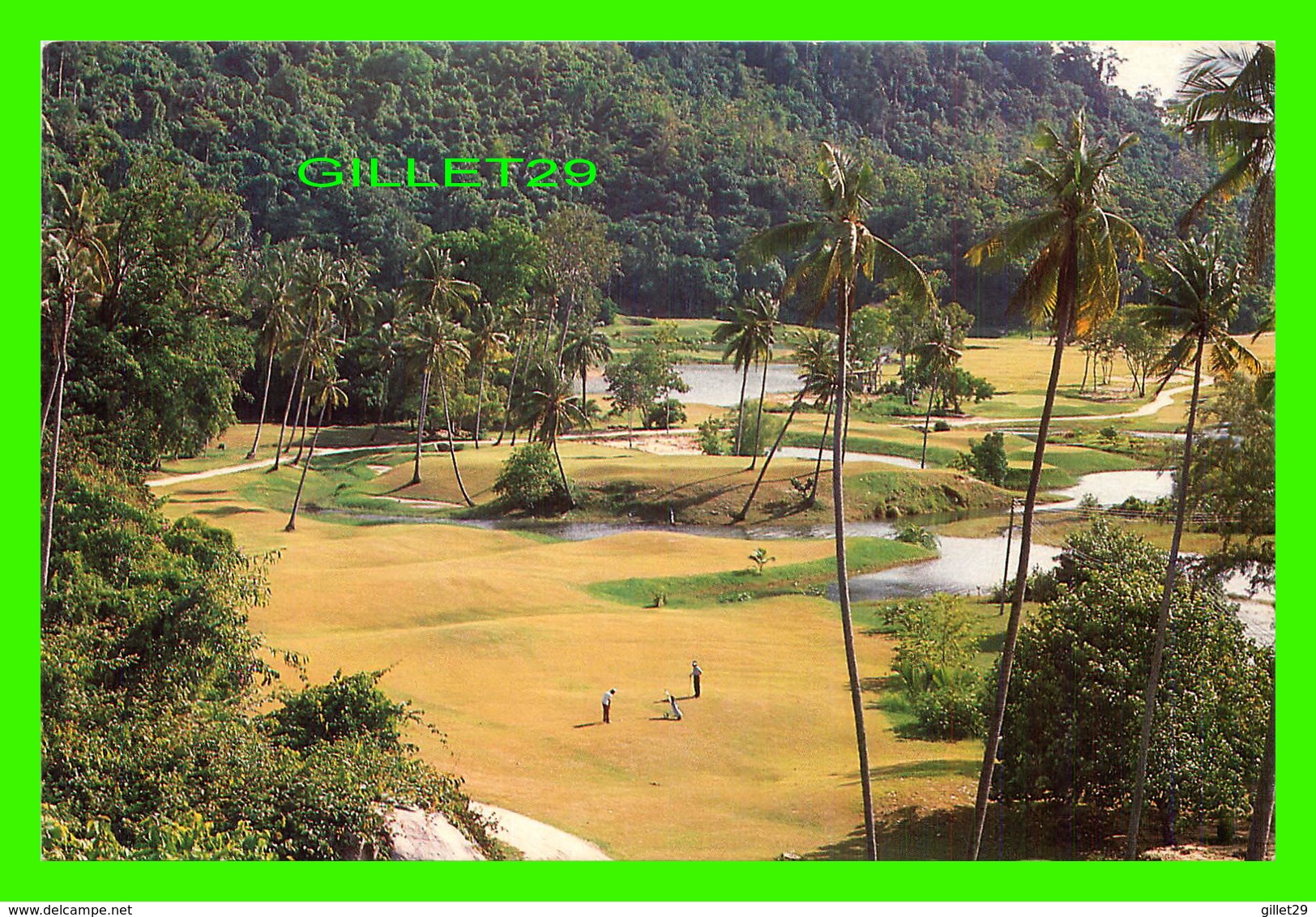 ILE TIOMAN, MALAISIE - VIEW OF TIOMAN ISLAND RESORT GOLF COURSE AS SEEN FROM A HEIGHT - - Malasia