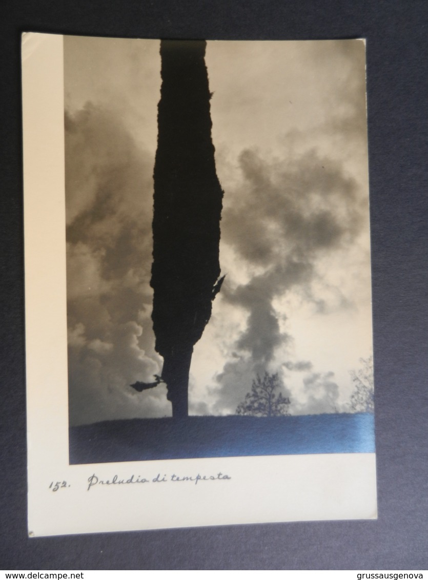 19855) CARTOLINA ARTISTICA FOTOGRAFICA PRELUDIO DI TEMPESTA NON VIAGGIATA - Photographie