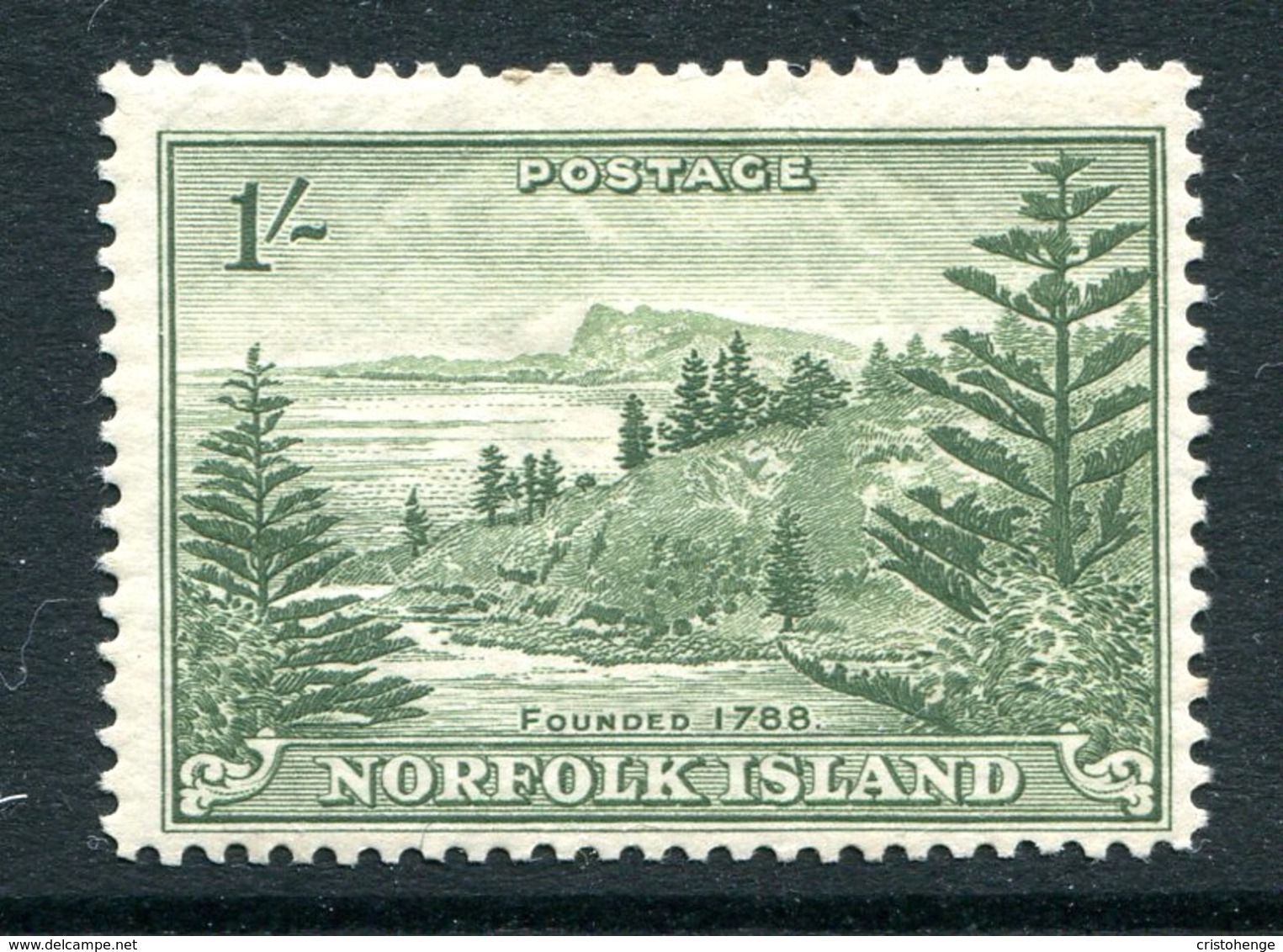 Norfolk Island 1947-59 Ball Bay - 1/- Grey-green - Toned Paper - HM (SG 11) - Ile Norfolk