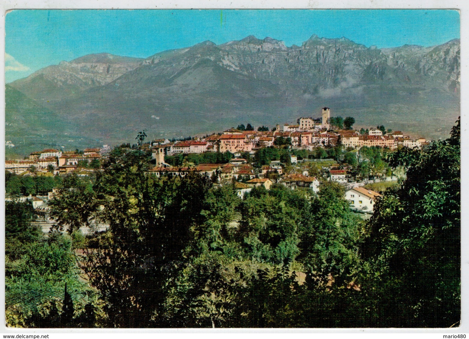 FELTRE  (BL)    PANORAMA                       (VIAGGIATA) - Altri & Non Classificati