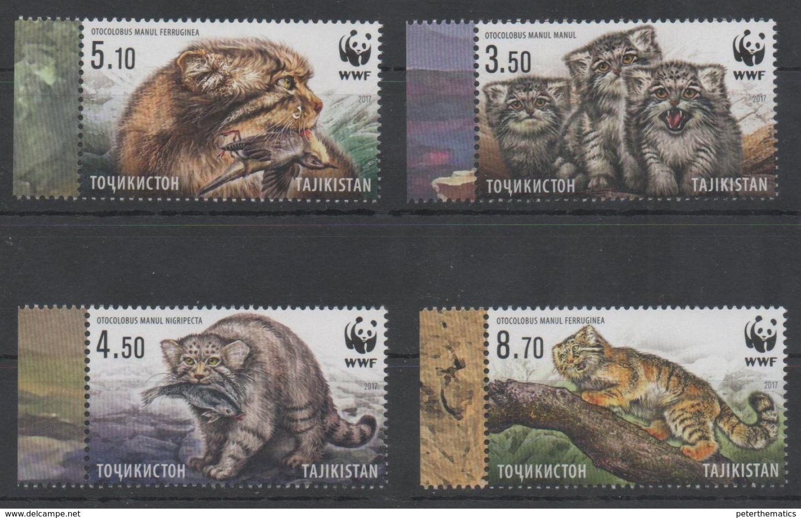 TAJIKISTAN, 2017, MNH, WWF, MANUL, FELINES, BIRDS, FISH,4v - Nuevos