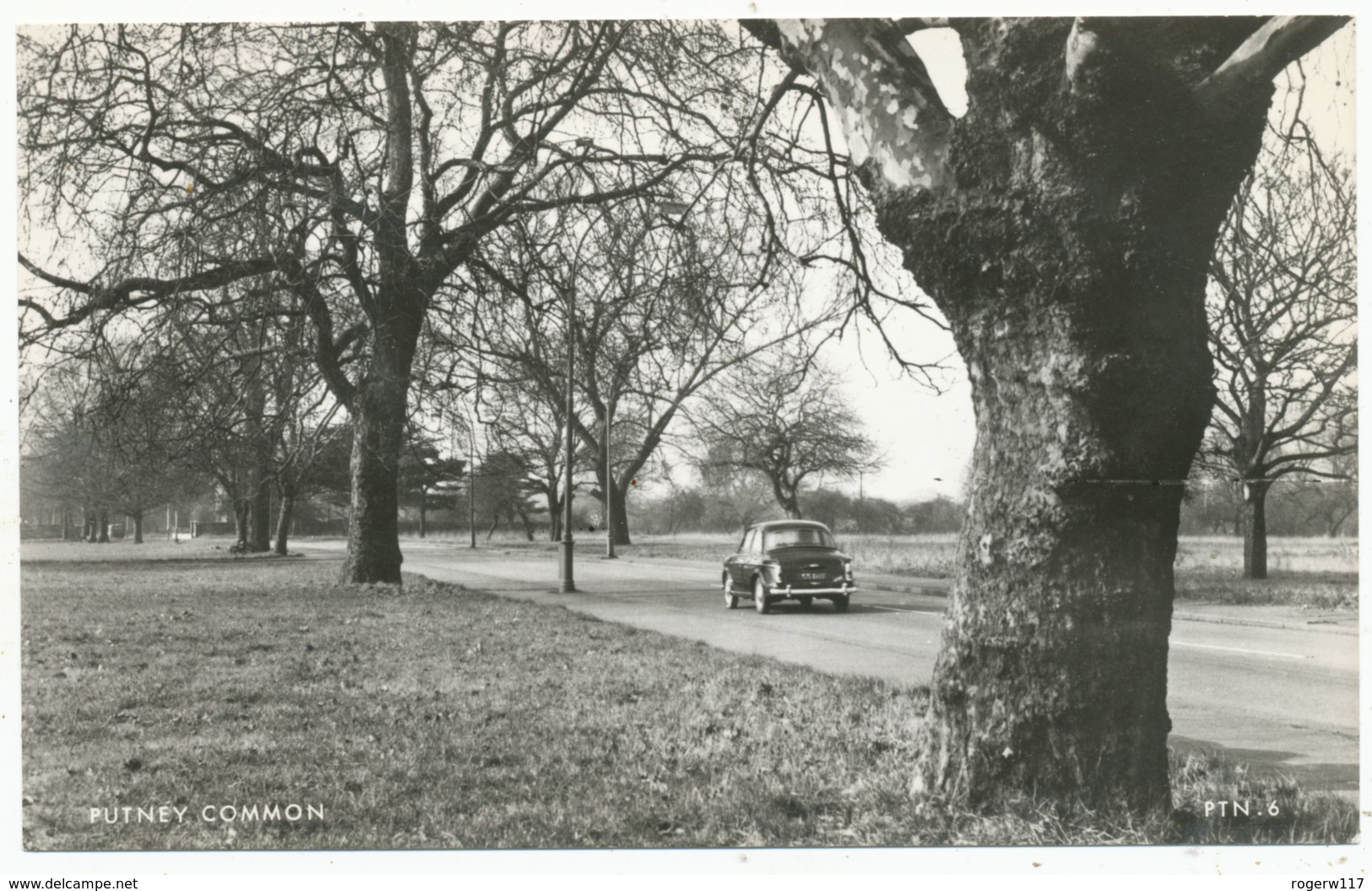 Putney Common - Surrey