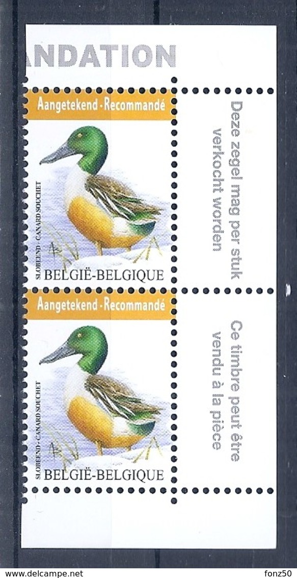 BELGIE * Buzin * Nr 4537  Franse + Vlaamse Tekst * Postfris Xx * WIT  PAPIER - 1985-.. Oiseaux (Buzin)