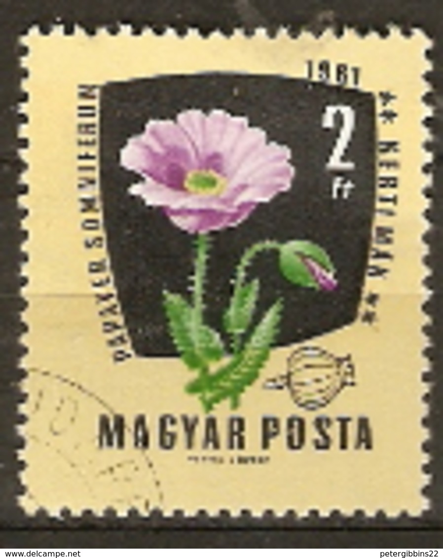 Hungary  1961 SG 1778  Medicinal Plants Poppy   Fine Used - Medicinal Plants