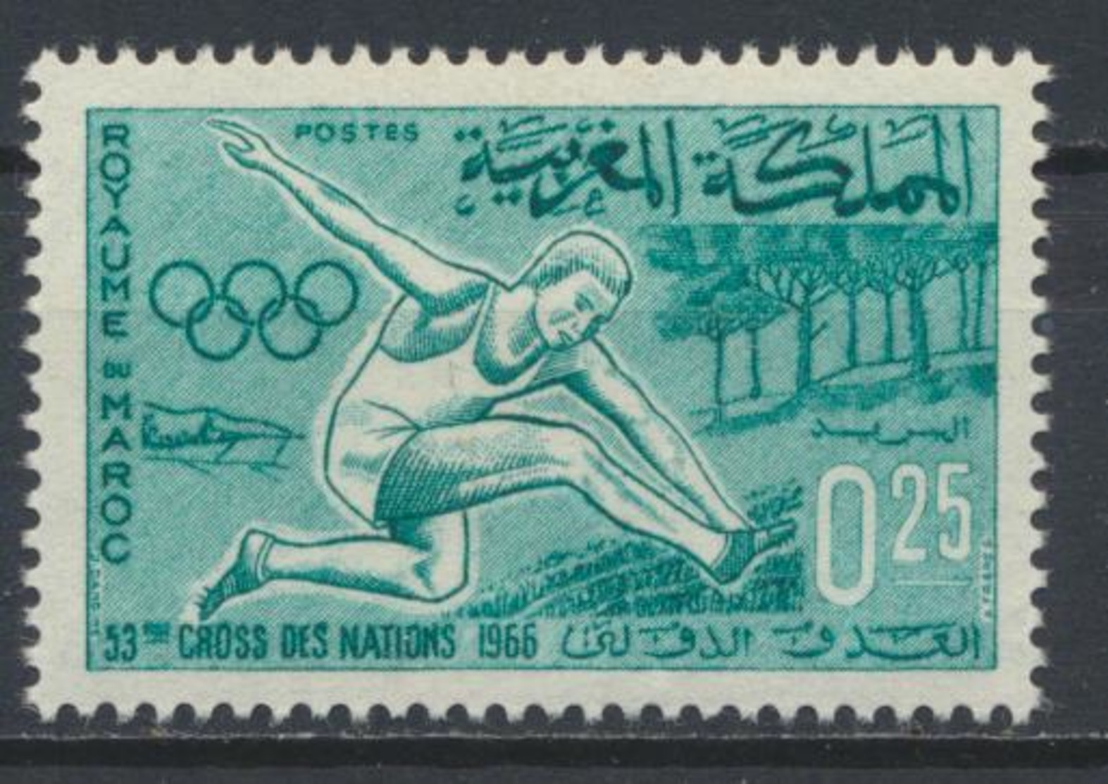 °°° MAROC - Y&T N°500 MNH NEUF - 1966 °°° - Maroc (1956-...)