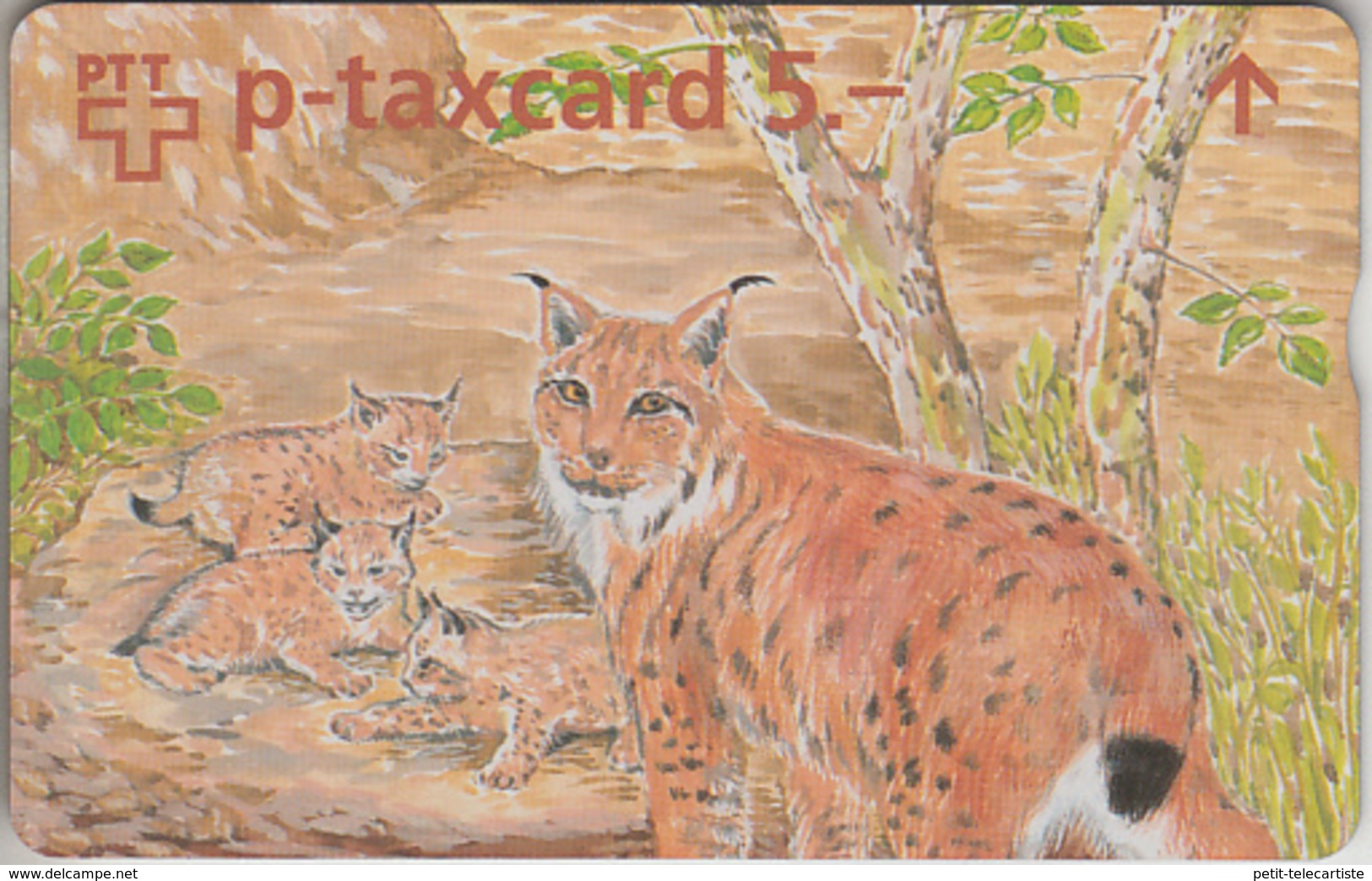 SWITZERLAND - PHONE CARD - °TAXCARD SUISSE  *** SIMONE ERNI & LE LYNX *** - Suisse