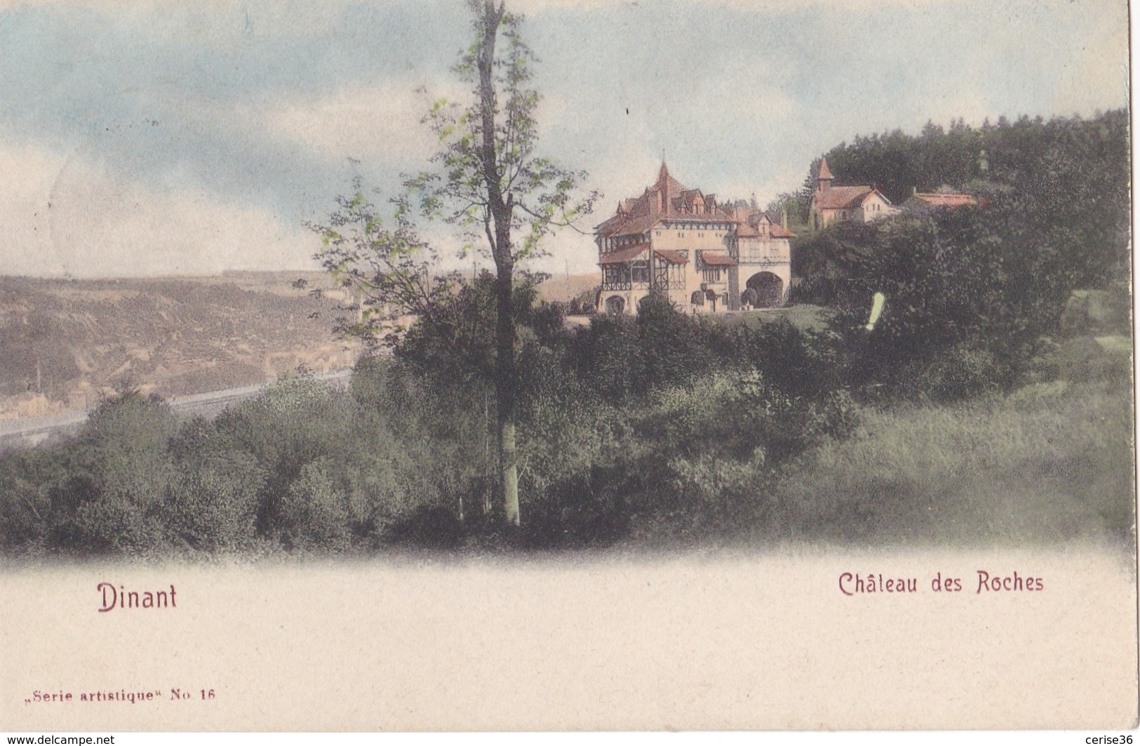 Dinant Château Des Roches Circulée En 1904 - Dinant