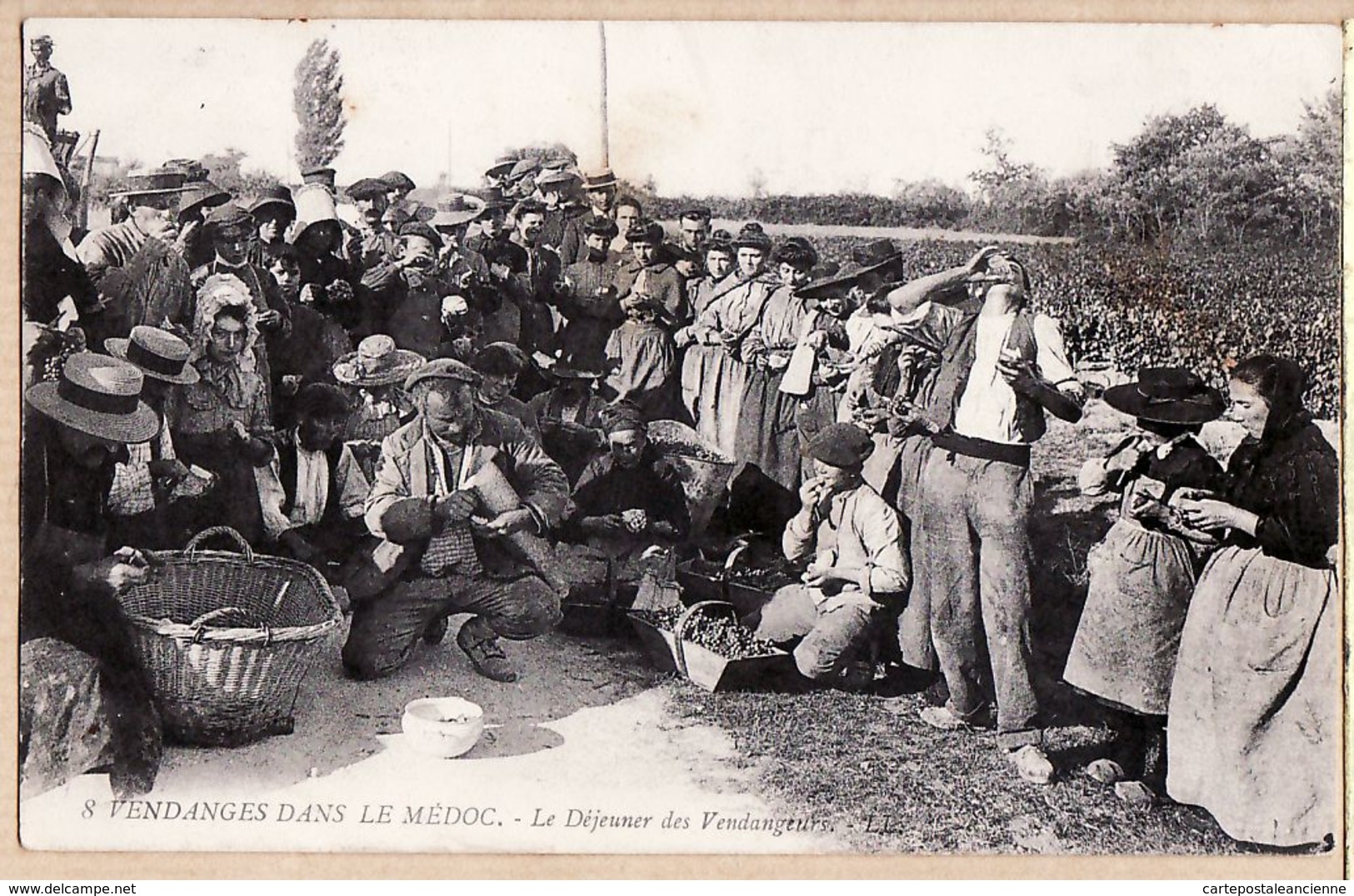 X33245 MEDOC VENDANGES Le Déjeuner Des Vendangeurs 14.09.1909 à RECLUS-ROYERE Conseiller Municipal Castillonnes - Other & Unclassified