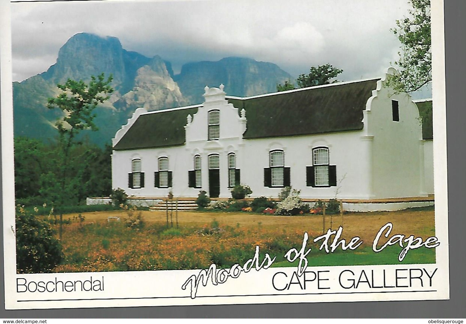 SCENIC SOUTH AFRICA    BOSCHENDAL MOODS OF THE CAPE GALLERY JOHANNEBURG - Afrique Du Sud