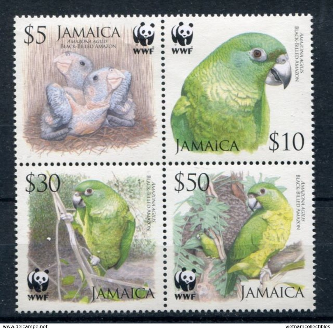 (WWF-393) W.W.F. Jamaica Bird / Birds MNH Stamps 2006 - Autres & Non Classés