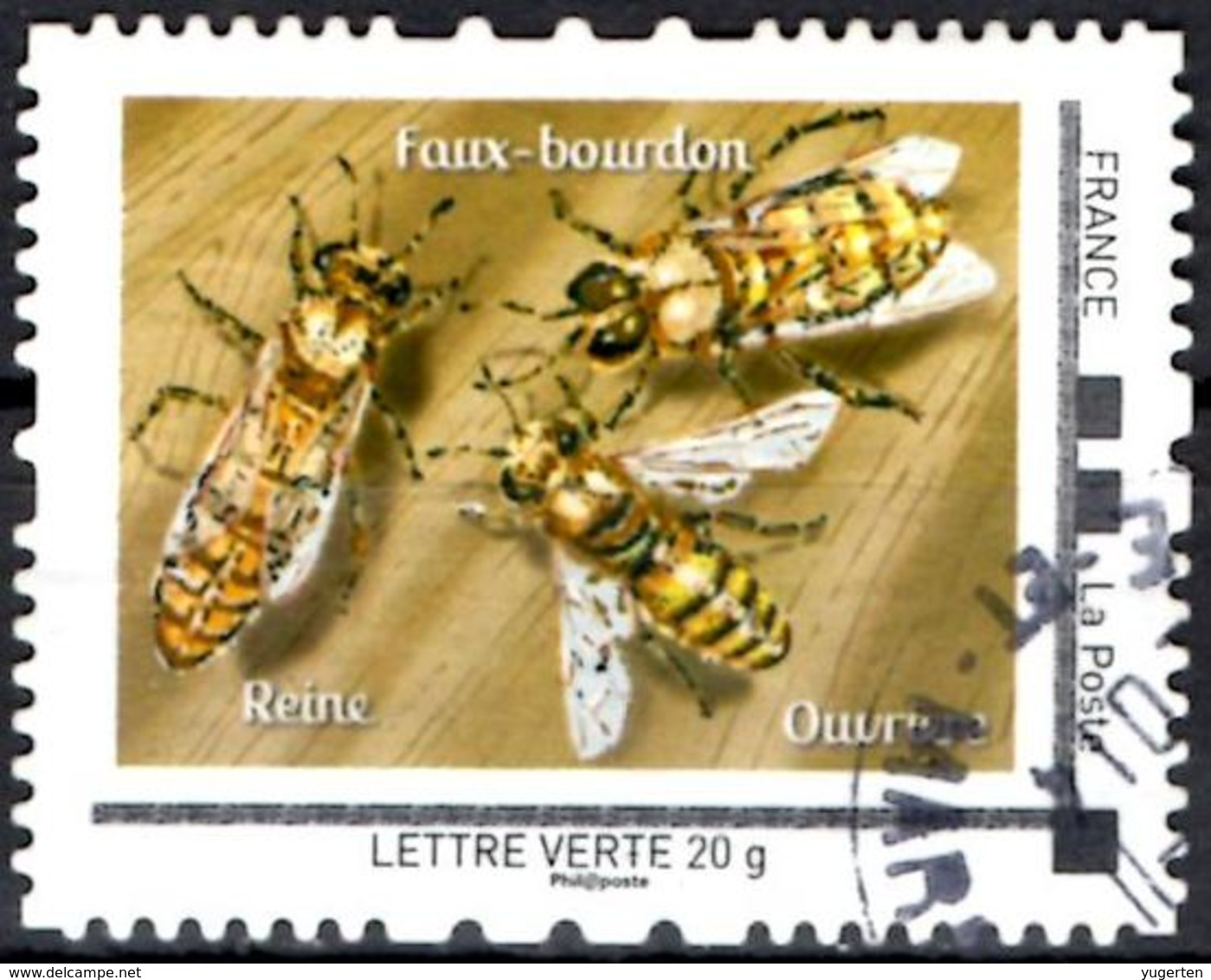 FRANCE Montimbramoi - Insects Insecten Insectes Bee Bees Abeille Abeilles Biene Bienen Abeja Abejas Ape Api Honingbij - Abeilles