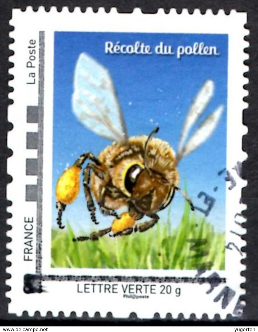 FRANCE Montimbramoi - Insects Insecten Insectes Bee Bees Abeille Abeilles Biene Bienen Abeja Abejas Ape Api Honingbij - Abeilles