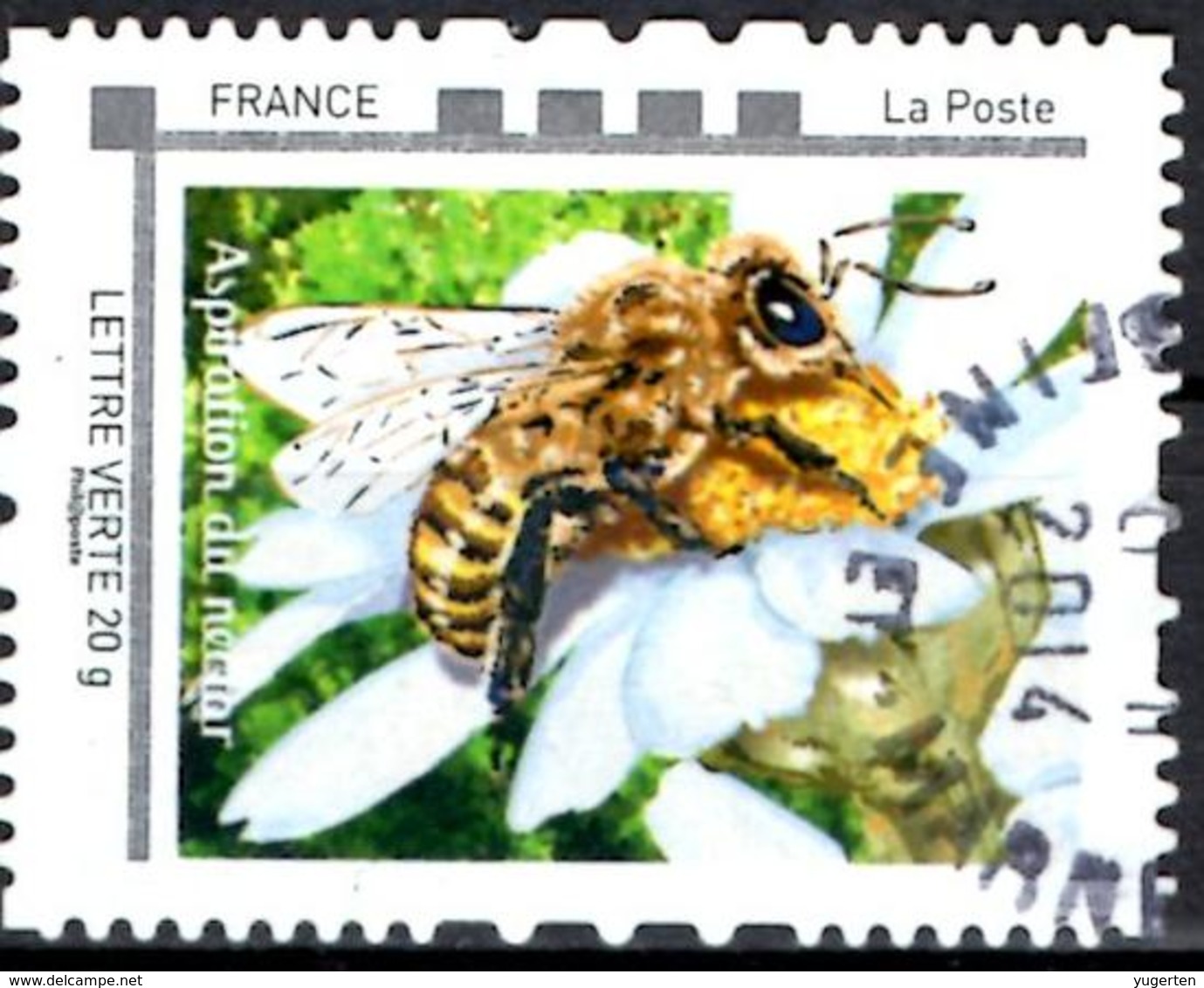 FRANCE Montimbramoi - Insects Insecten Insectes Bee Bees Abeille Abeilles Biene Bienen Abeja Abejas Ape Api Honingbij - Abeilles