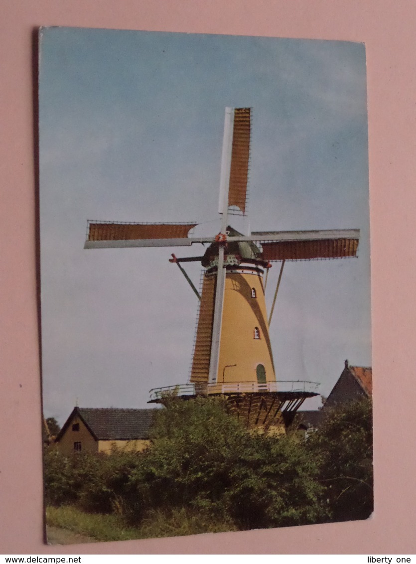 KORENMOLEN " DE ZWAAN " ( Carré En Ter Braake ) Anno 19?? ( Zie/voir Photo ) Molen / Moulin / Mill ! - Andere & Zonder Classificatie