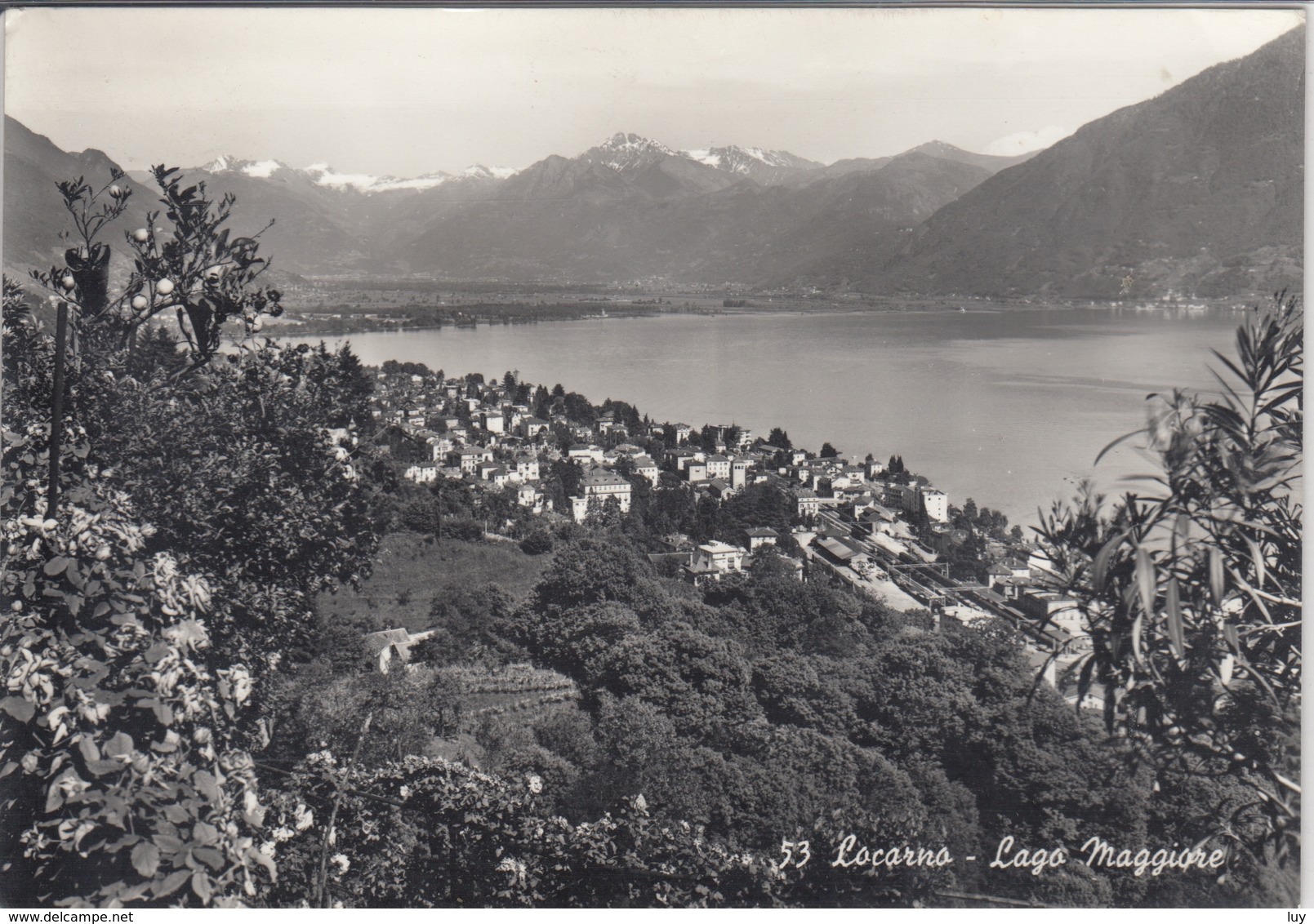 LOCARNO Lago Maggiore, Panorama Visto Dal Santuario MADONNA DEL SASSO Orselina - Orselina