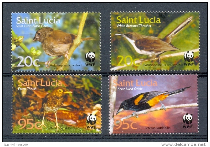 Nbx287s WWF FAUNA VOGELS BIRDS VÖGEL AVES OISEAUX SAINT LUCIA 2001 PF/MNH - Nuovi