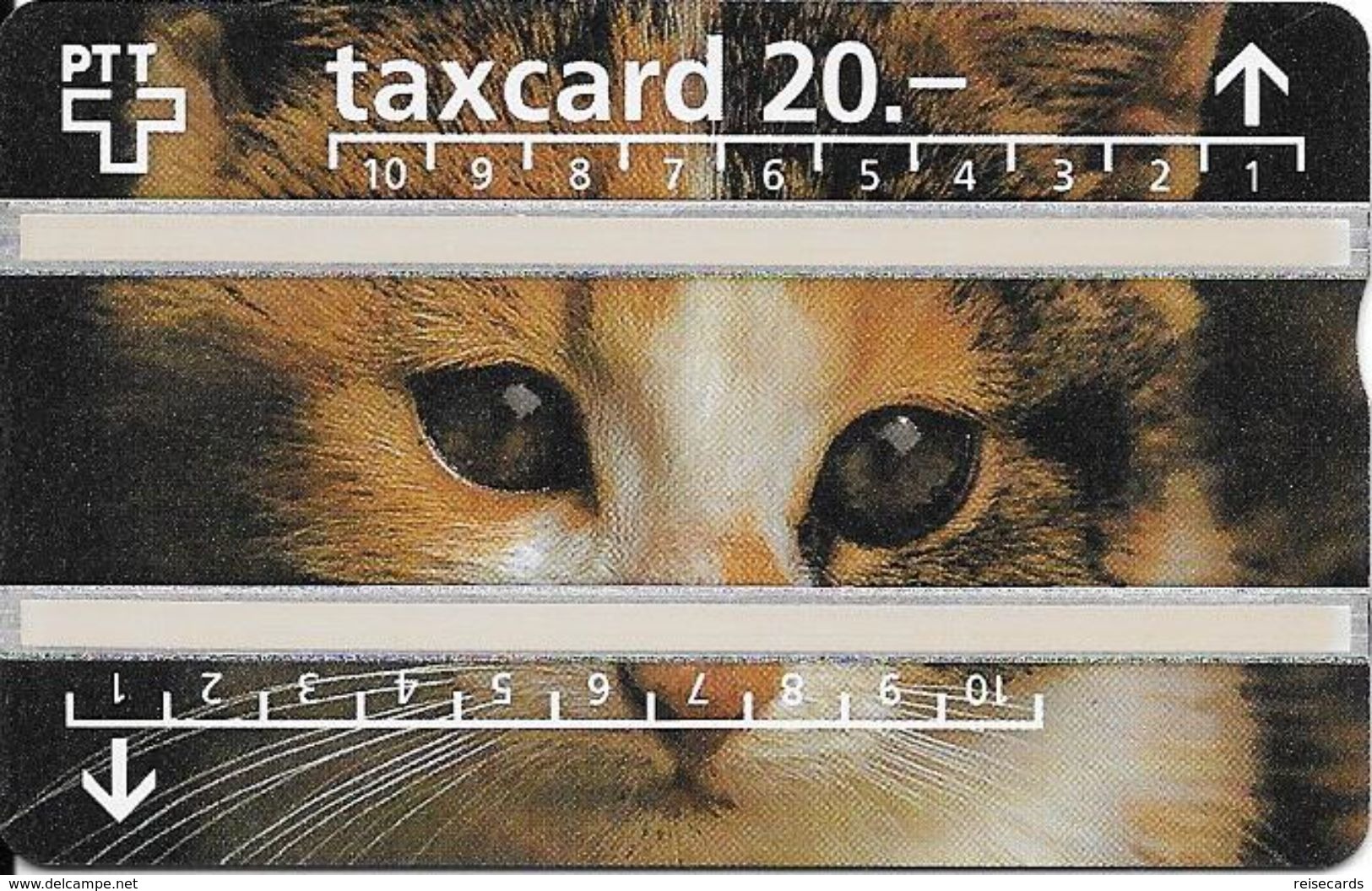 PTT: P55 625E Katze. Mint - Suisse