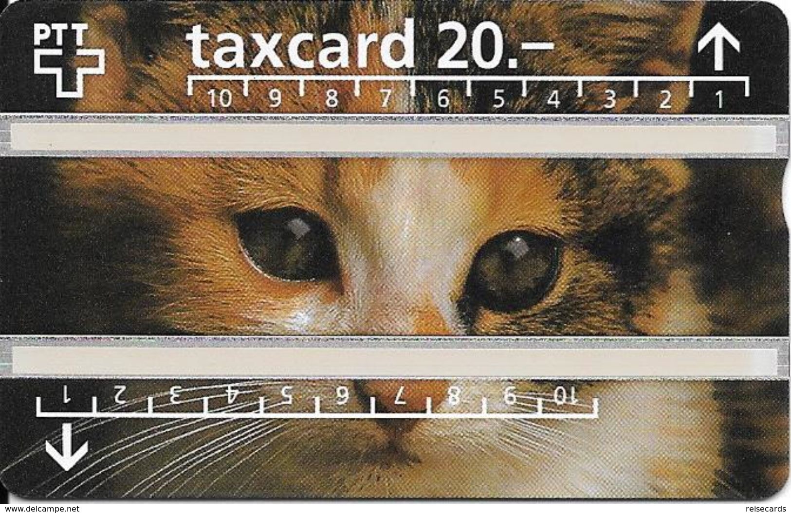 PTT: P55 625A Katze. Mint - Suisse