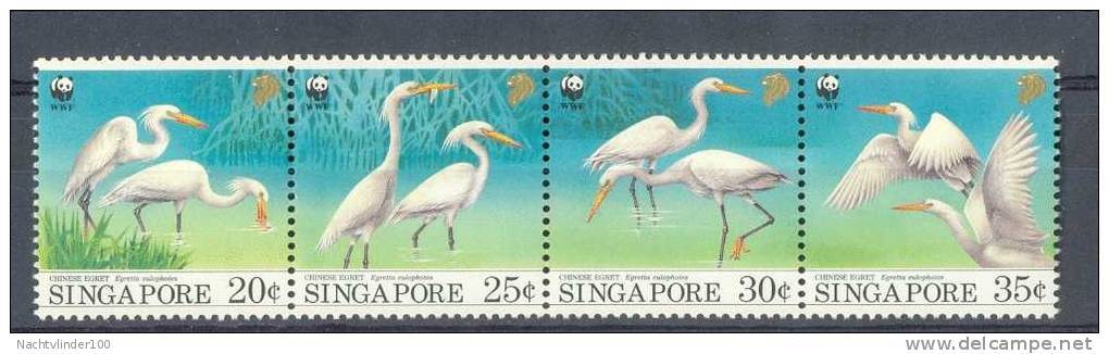 Mzi153s WWF VOGELS BIRDS REIGER HERON EGRET VÖGEL AVES OISEAUX SINGAPORE 1993 ONG/MH - Ongebruikt