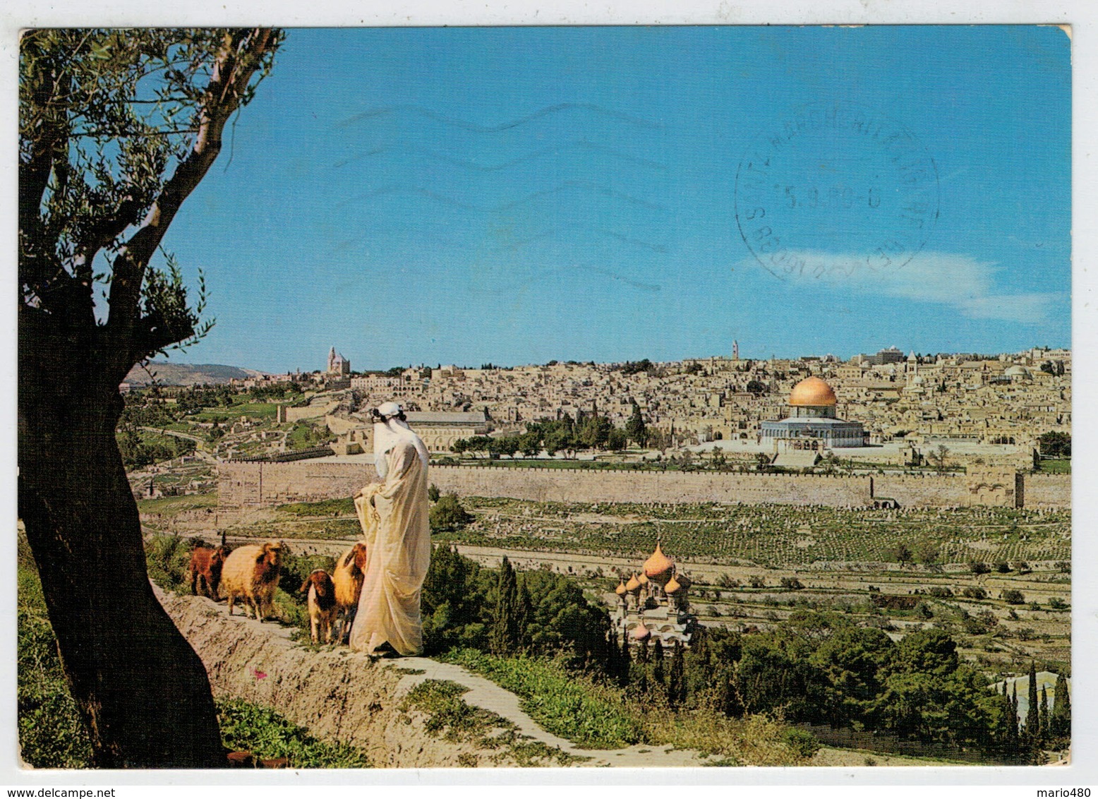 GERUSALEMME    VISTA  PANORAMICA   DAL  MONTE  DEGLI  ULIVI                (VIAGGIATA) - Israele