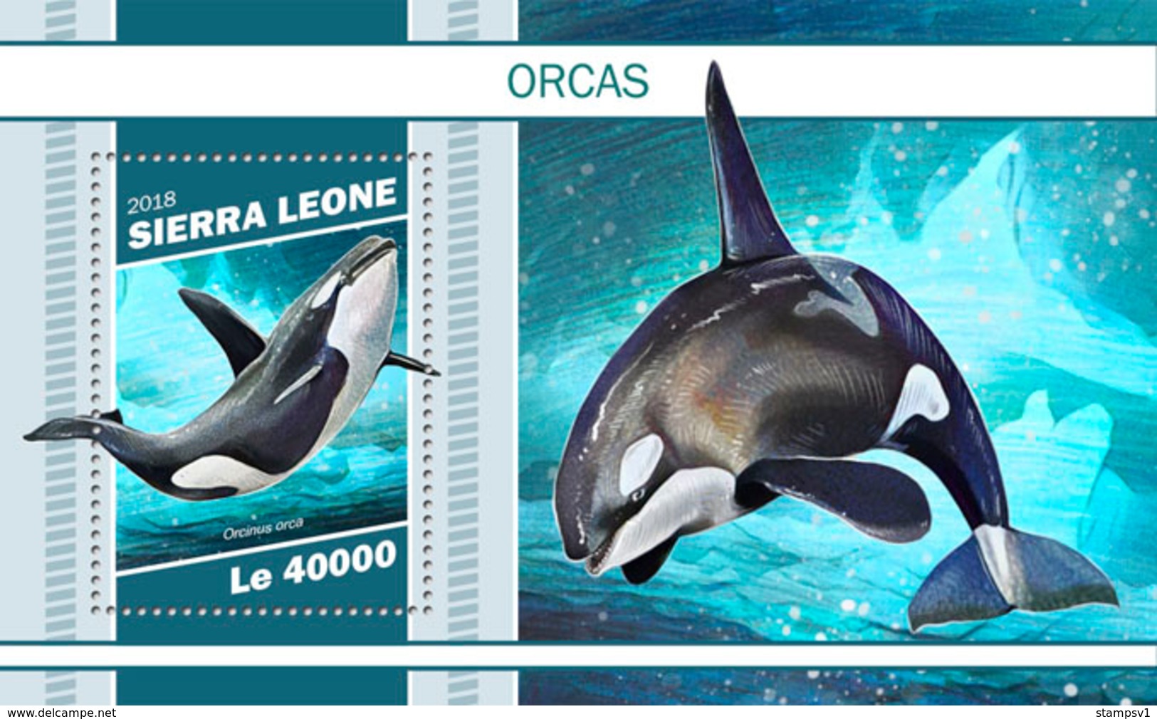 Sierra Leone. 2018 Orcas. (1106b) - Dauphins