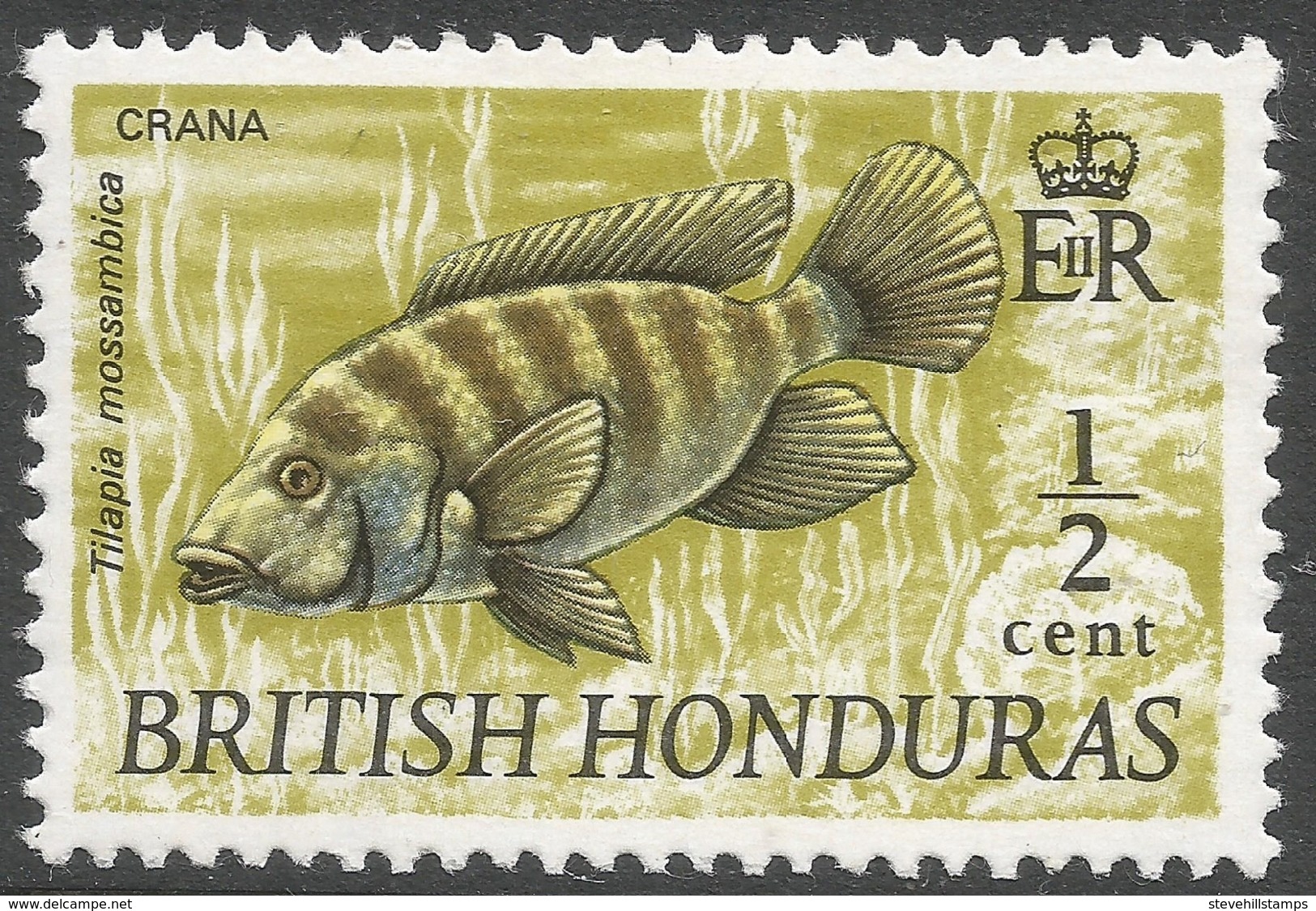 British Honduras. 1968 Wildlife. ½c MH SG 277 - British Honduras (...-1970)