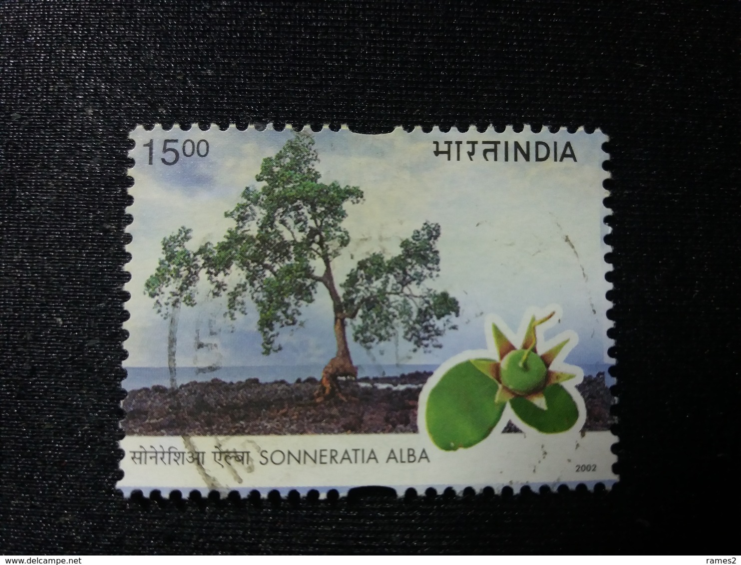 Timbres > Asie > Inde  N° 1692 - Usati