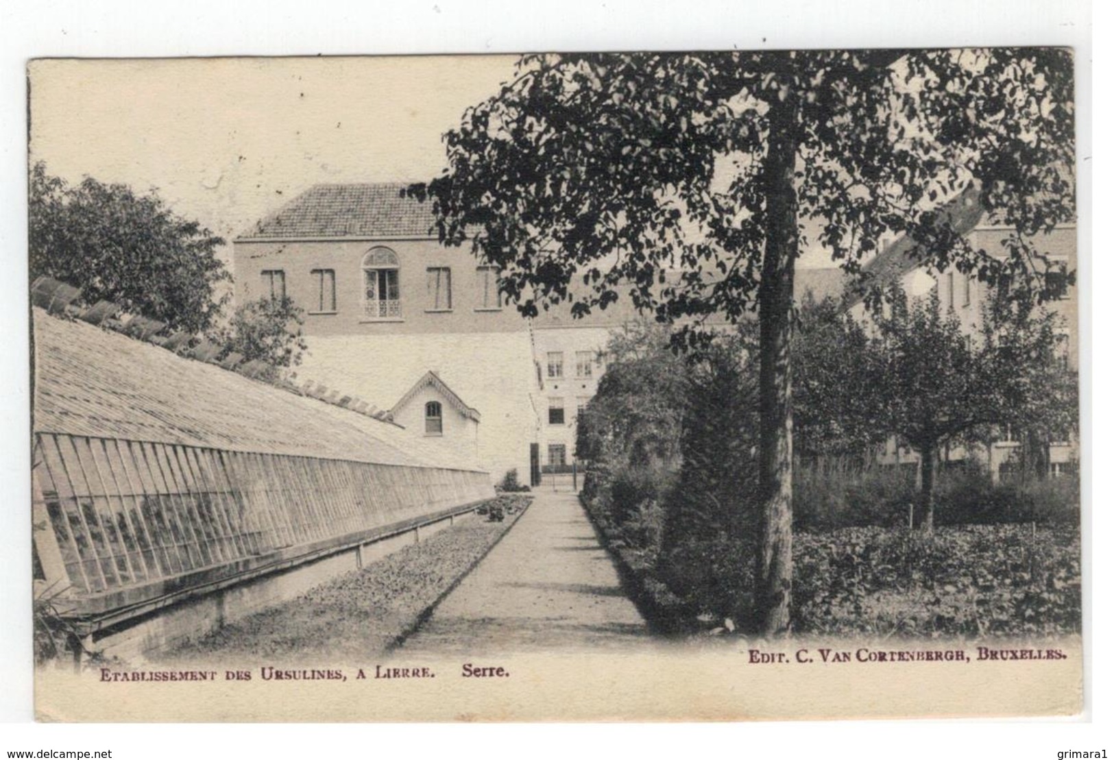 Lier: ETABLISSEMENT DES URSULINES, A LIERRE. Serre 1906  Edit.C.Van Cortenbergh Bruxelles - Lier