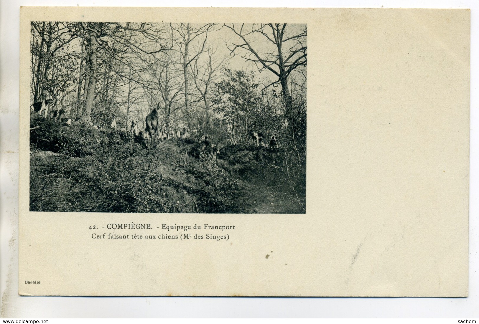CHASSE à COUR 039 Equipage Du Francport Cerf Faisant Tete Aux Chiens Mt Des Singes 42 Ducelle - Foret  Compiegne - Chasse