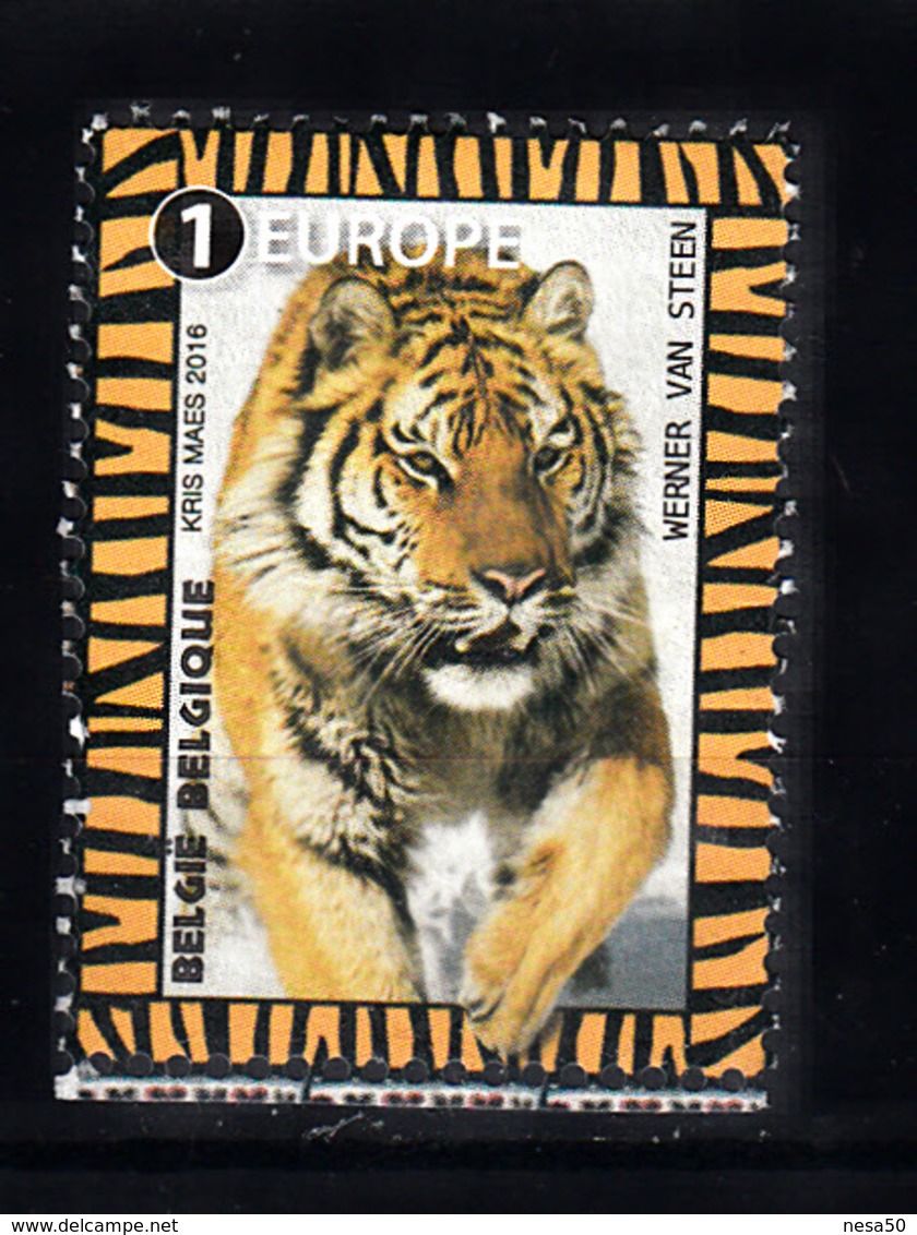 Belgie 2016 Mi Nr 4666 Siberische Tijger - Oblitérés