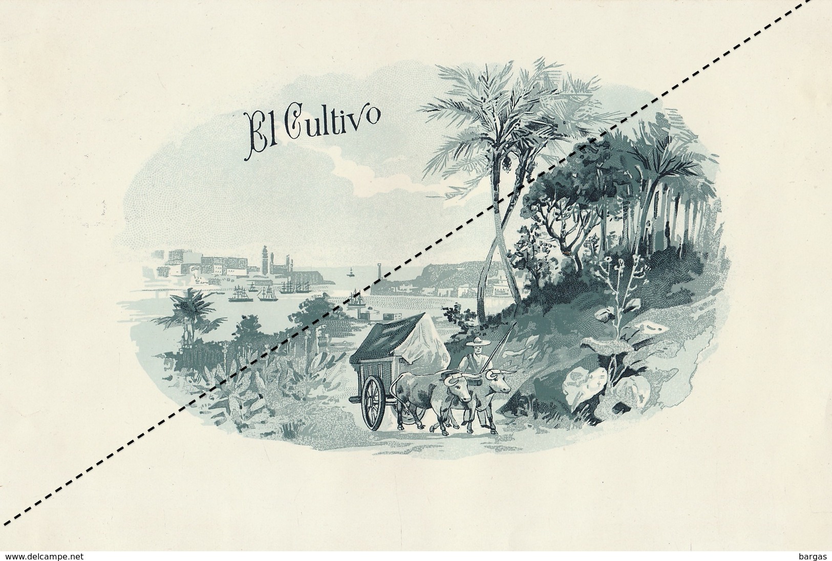 1893-1894 Grande étiquette Boite à Cigare Havane EL CULTIVO - Etiquettes