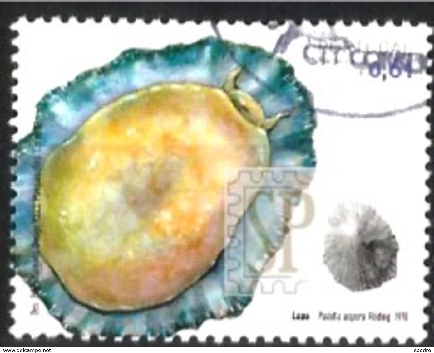 Portugal 2007 Fauna Marinha Madeira Portugal Faune Marine Patelle Marine Fauna Limpet - Used Stamps