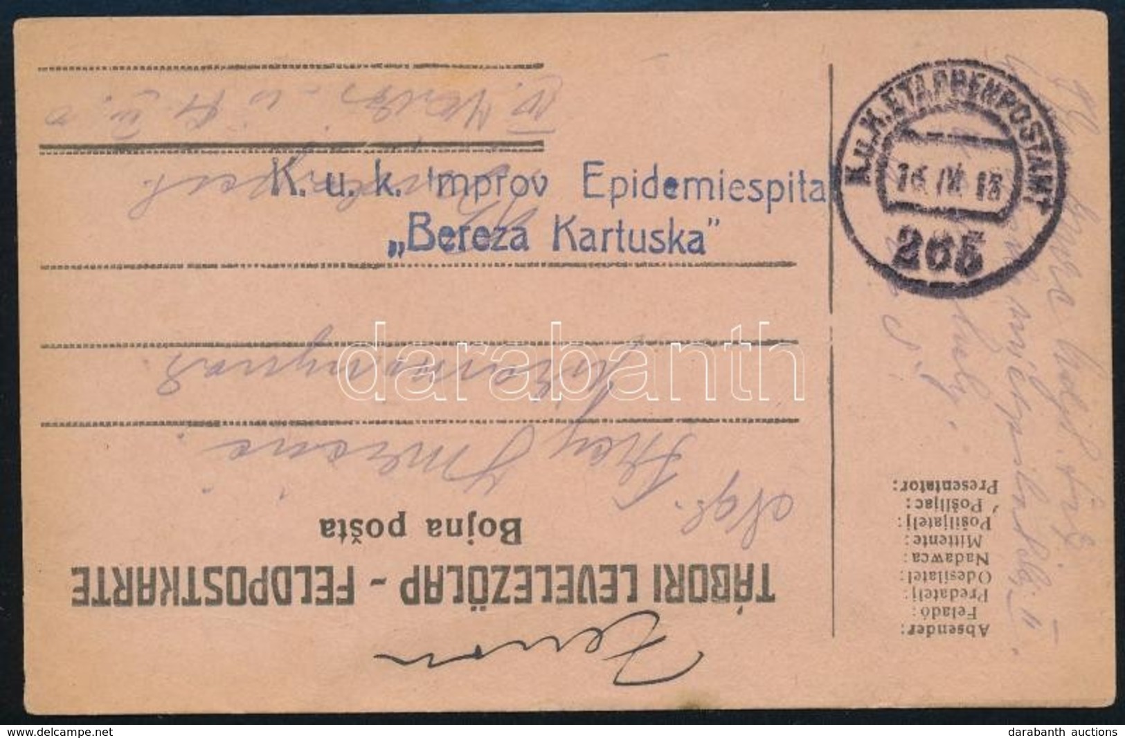 1918 Tábori Posta Levelezőlap 'K.u.k. Improv. Epidemiespital Bereza Kartuska' + 'FP 265' - Altri & Non Classificati