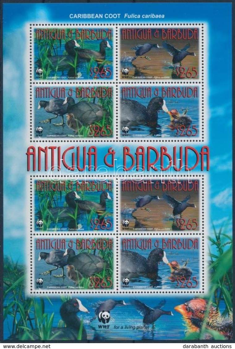 ** 2009 WWF: Madarak Kisív Mi 4702-4705 I - Other & Unclassified