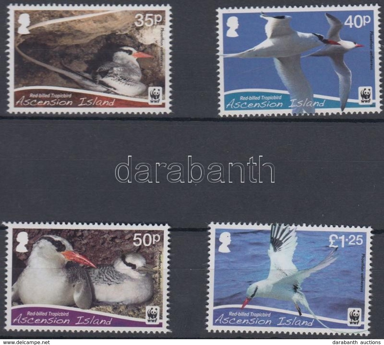 ** 2011 WWF: Madarak Sor Mi 1155-1158 + 4 FDC - Other & Unclassified