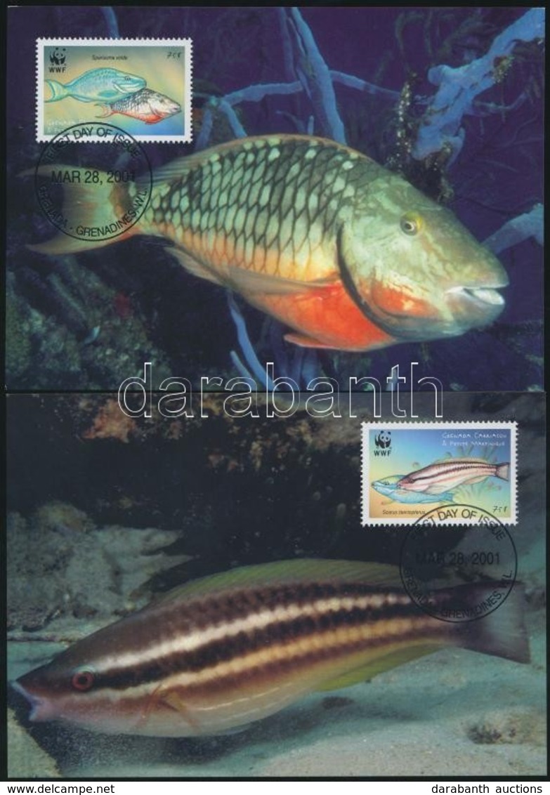 2001 WWF Papagájhalak Sor Mi 3504-3507 4 CM - Other & Unclassified