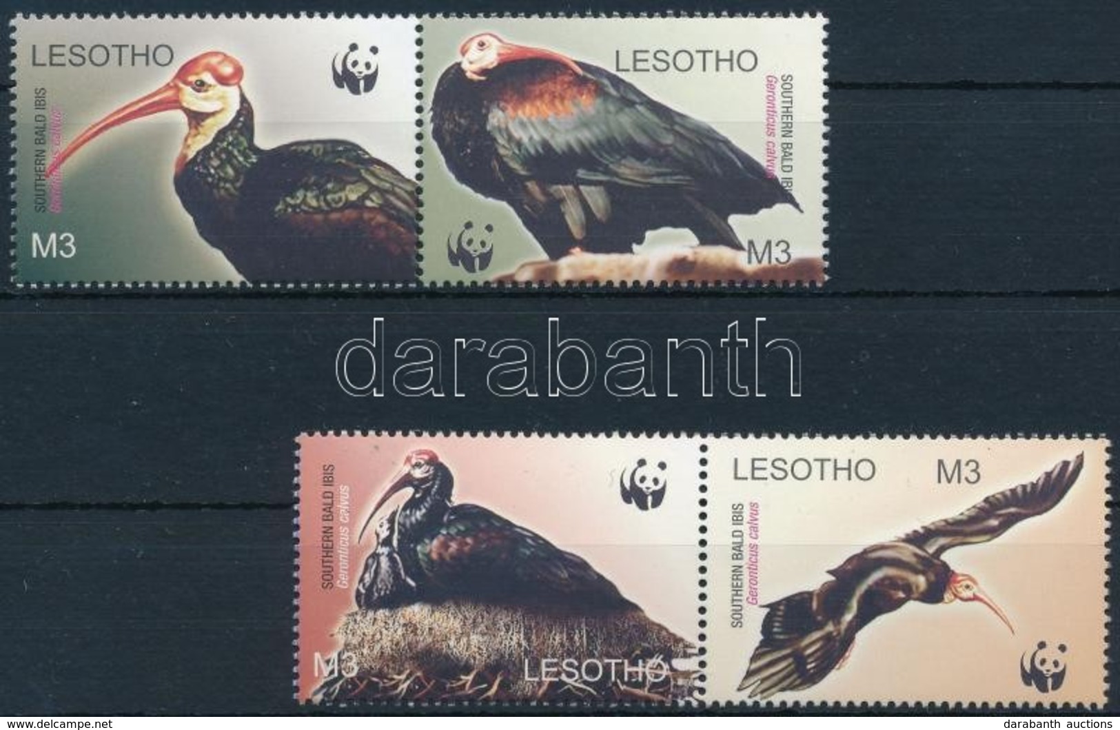 ** 2004 WWF: Déli  Tarjvarjú Sor Párokban Mi 1895-1998 - Other & Unclassified