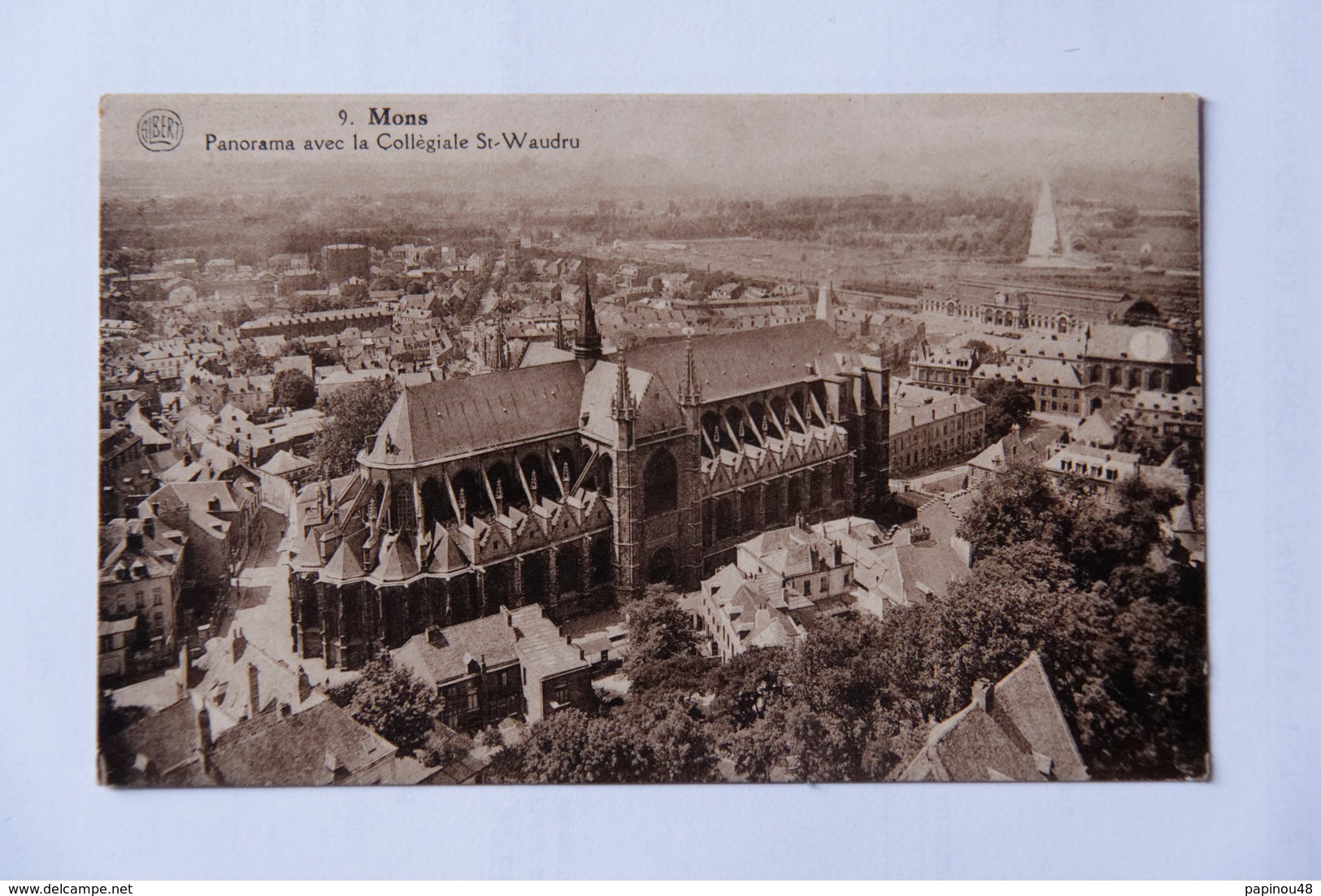 Panorama De Mons Avec Collégiale Ste Waudru - Mons