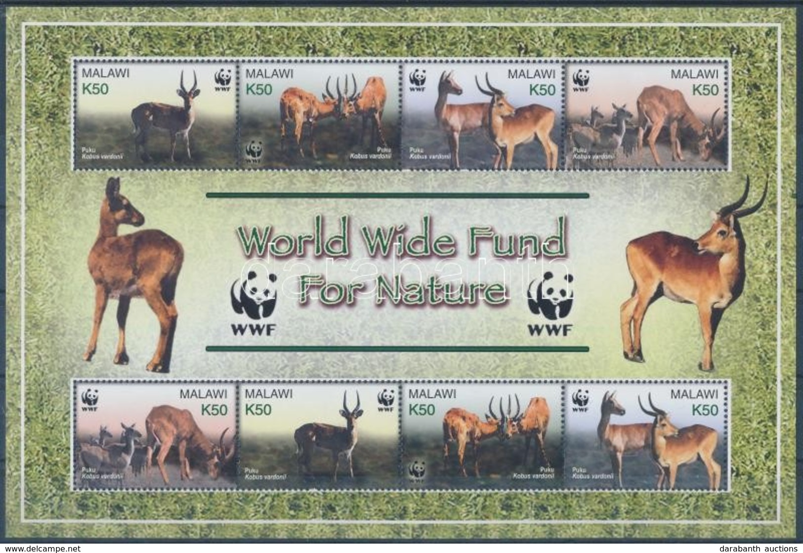 ** 2003 WWF: Puku Kisív Mi  721 - 724 - Other & Unclassified