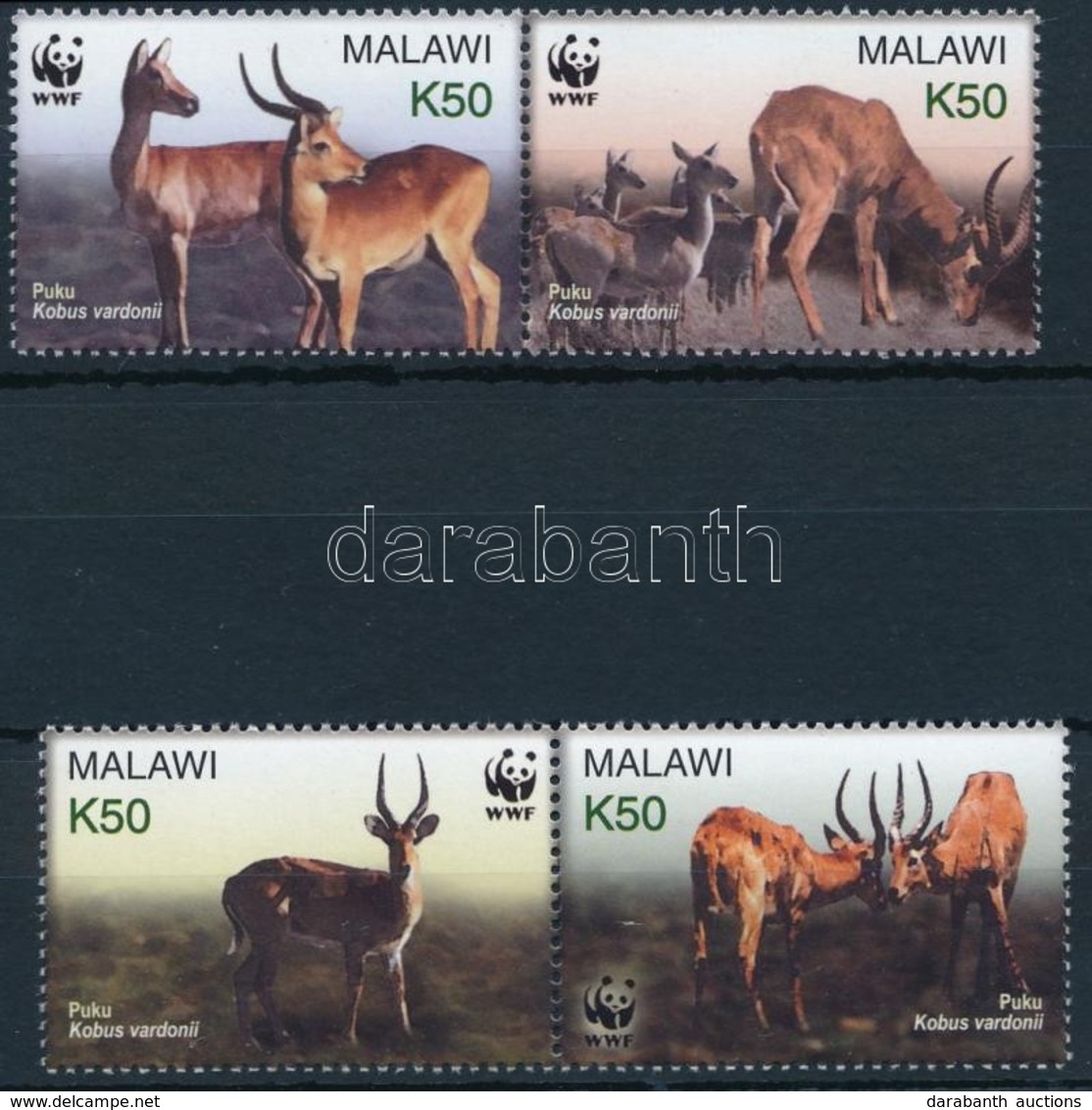 ** 2003 WWF: Puku Sor Párokban Mi 721-724 - Other & Unclassified