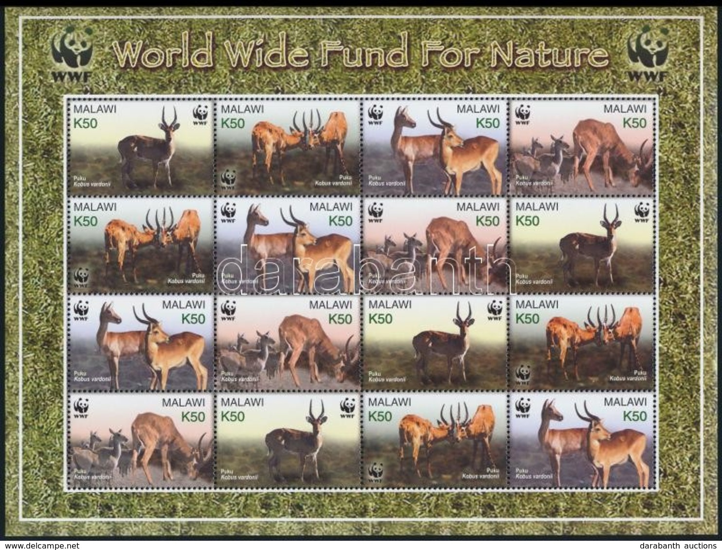 ** 2003 WWF: Puku Teljesív Mi 721-724 - Other & Unclassified