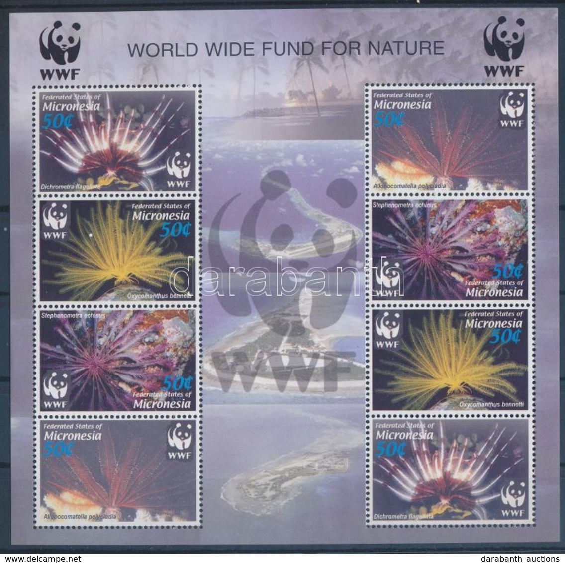 ** 2005 WWF: Korallok 2 és 4 Sort Tartalmazó Kisívek - Autres & Non Classés