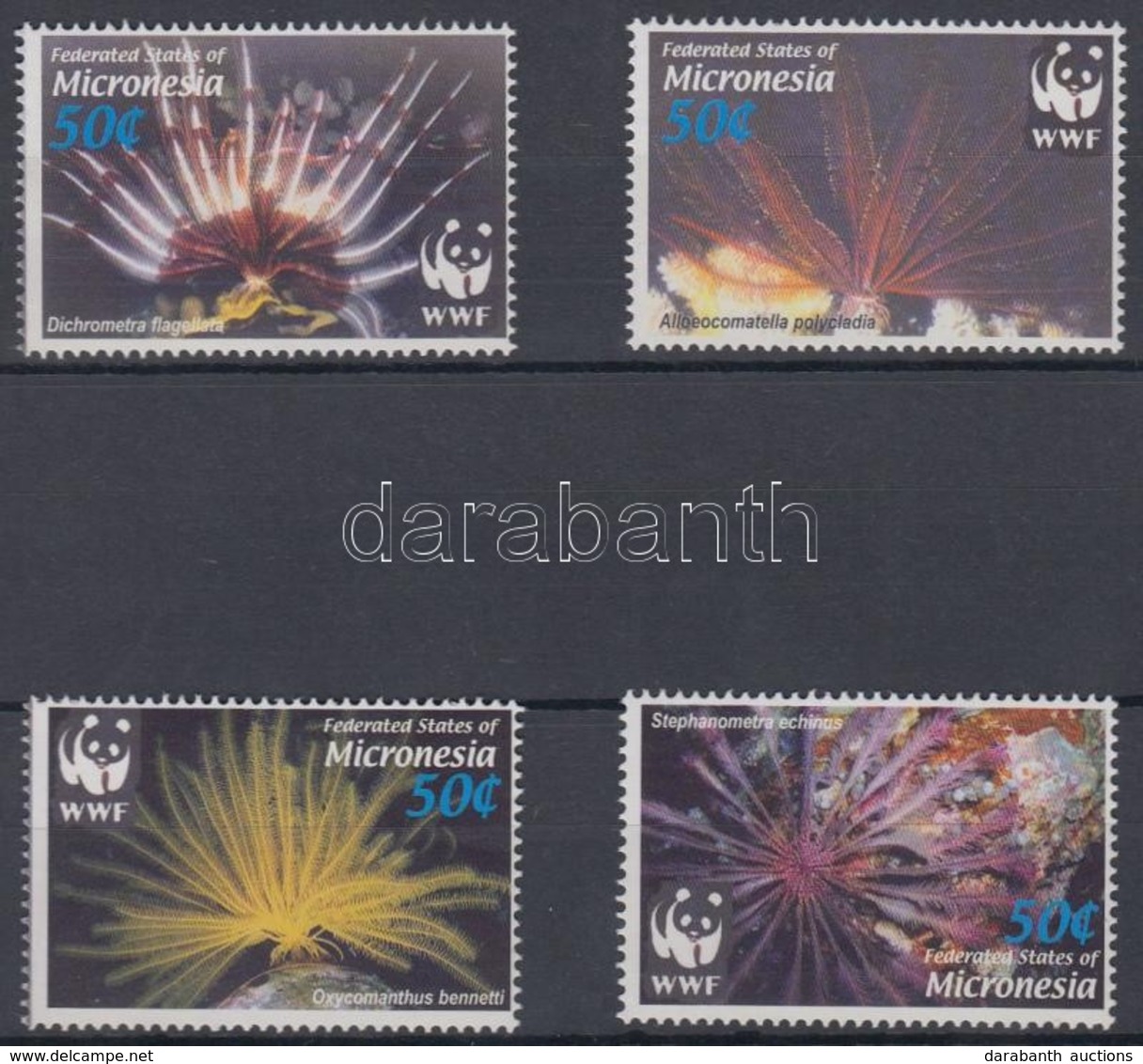 ** 2005 WWF: Korallok Sor Mi 1674-1677 - Other & Unclassified