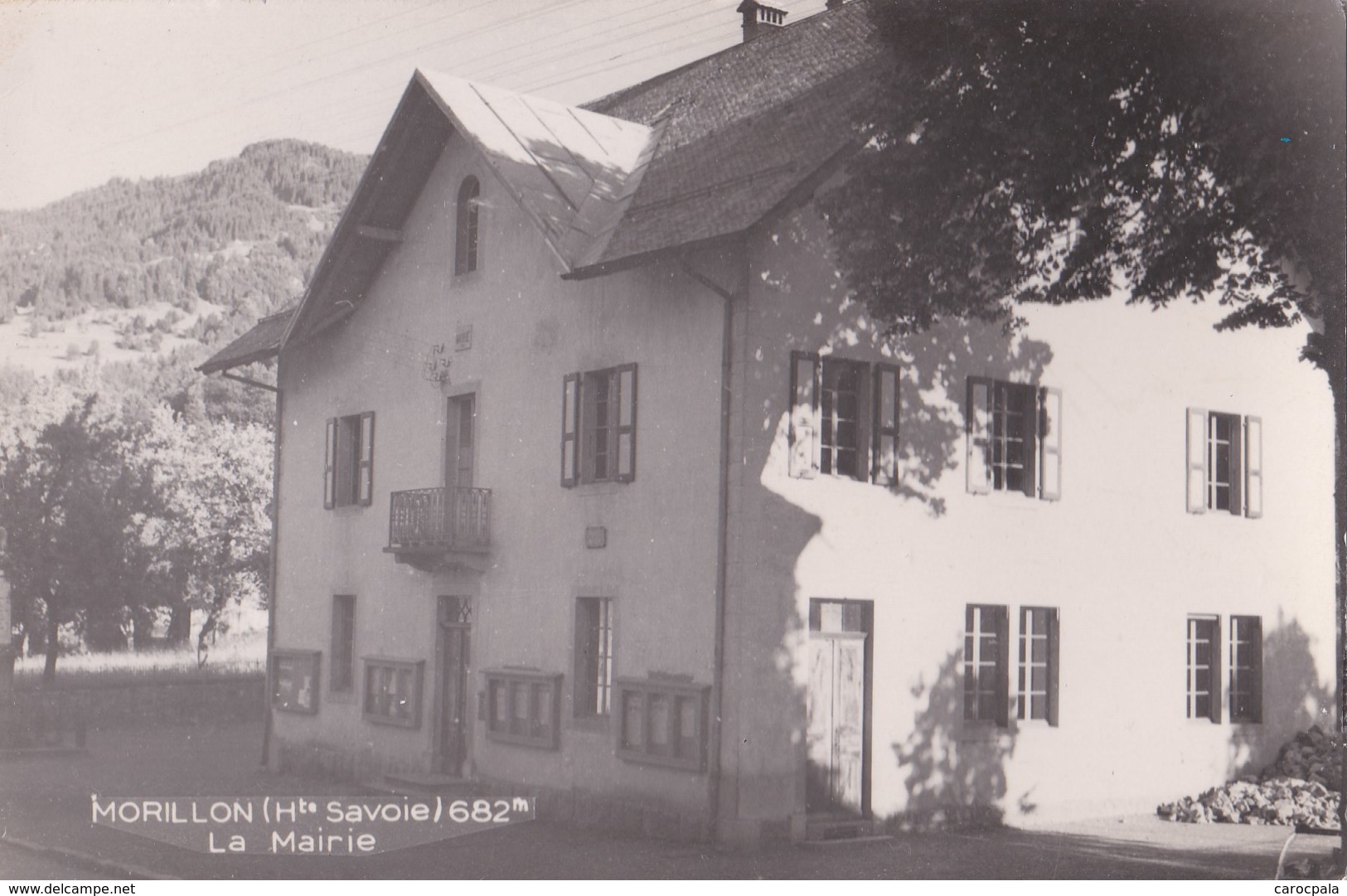 Carte Photo Vers 1950 MORILLON / LA MAIRIE - Autres & Non Classés