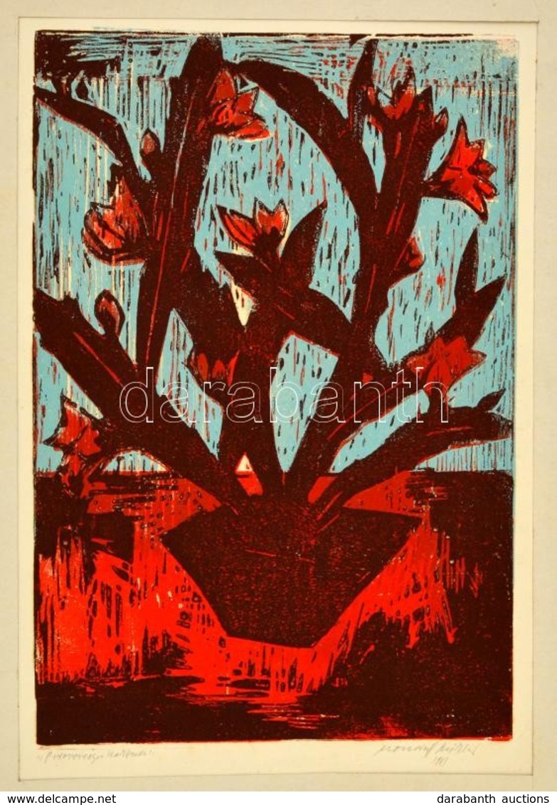 Mazsaroff Miklós (1929-1997): Páros Virágú Kaktusz, Színezett Linó, Papír, 51×35 Cm - Autres & Non Classés