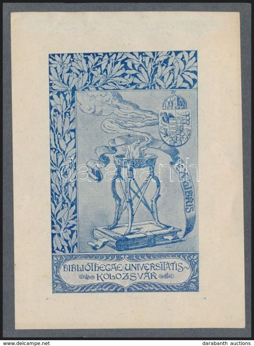 Jelzés Nélkül: Ex Libris Bibliothecae Universitatis Kolozsvár. Heliogrvúr, Papír, 11×7 Cm - Otros & Sin Clasificación