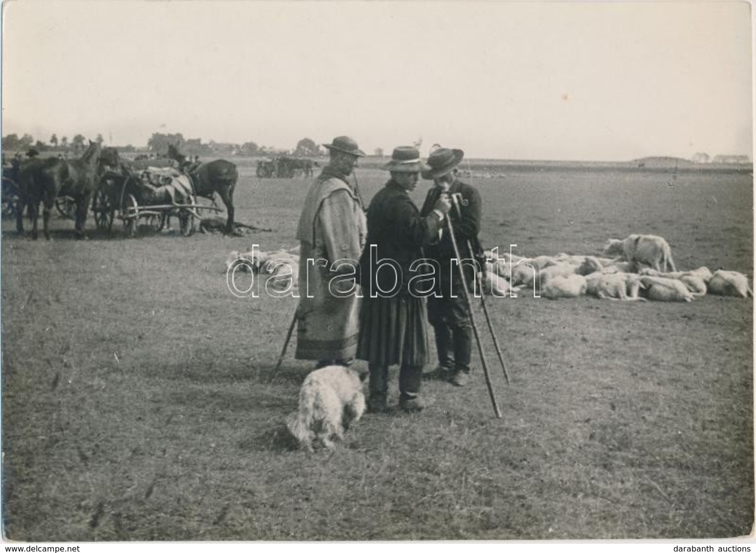 Cca 1925 Kerny István (1879-1963): Pásztor Nép A Hortobágyon, Pecséttel Jelzett, Feliratozott Vintage Fotóművészeti Alko - Sonstige & Ohne Zuordnung