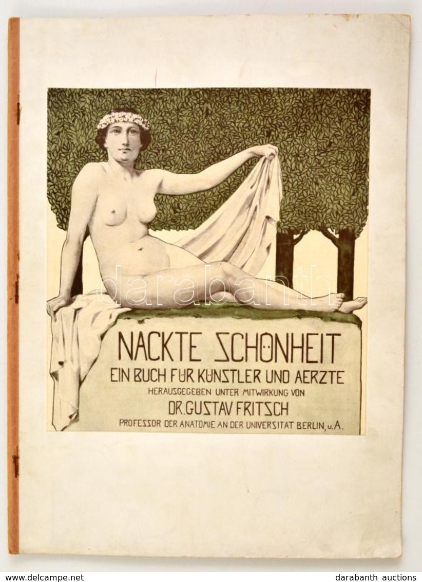 Cca 1900 Nackte Schönheit C. Akt Fotókat Bemutató Könyv Bemutató Példánya. / Promotion For Nude Exposing Book. 16p With  - Unclassified