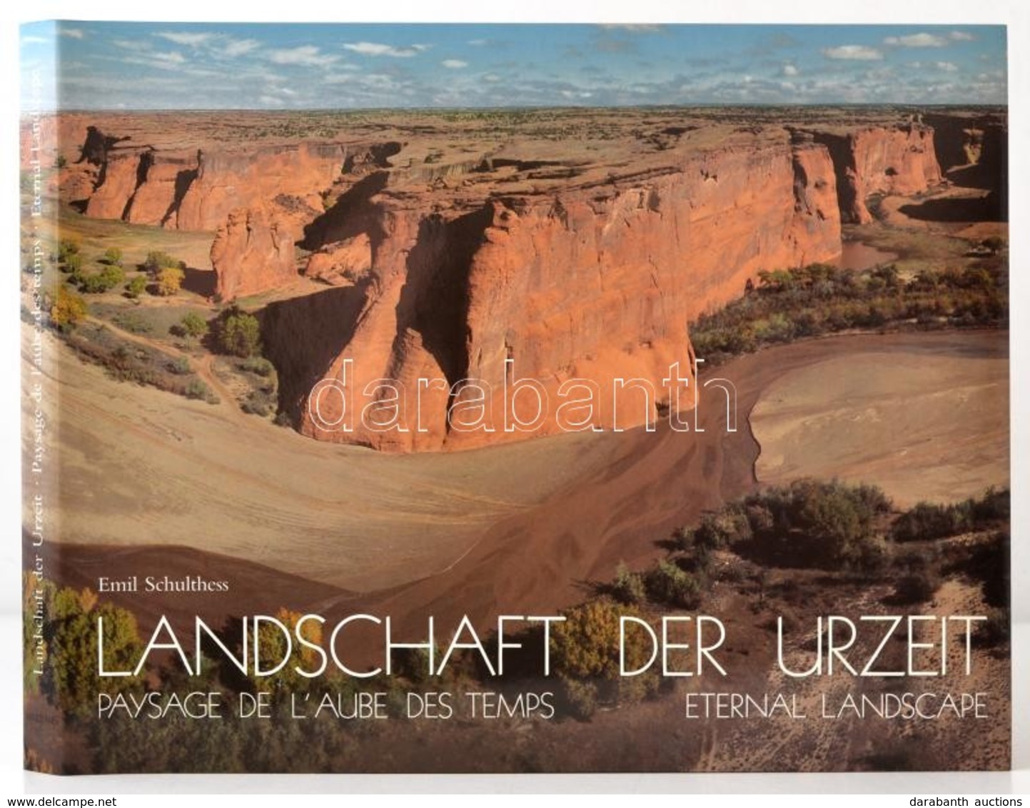 Emil Schulthess-Sigmund Widmer: Landschaft Der Urzeit. Paysage De L'Aube Des Temps. Eternal Landscape. Zürich, 1989, Art - Non Classés