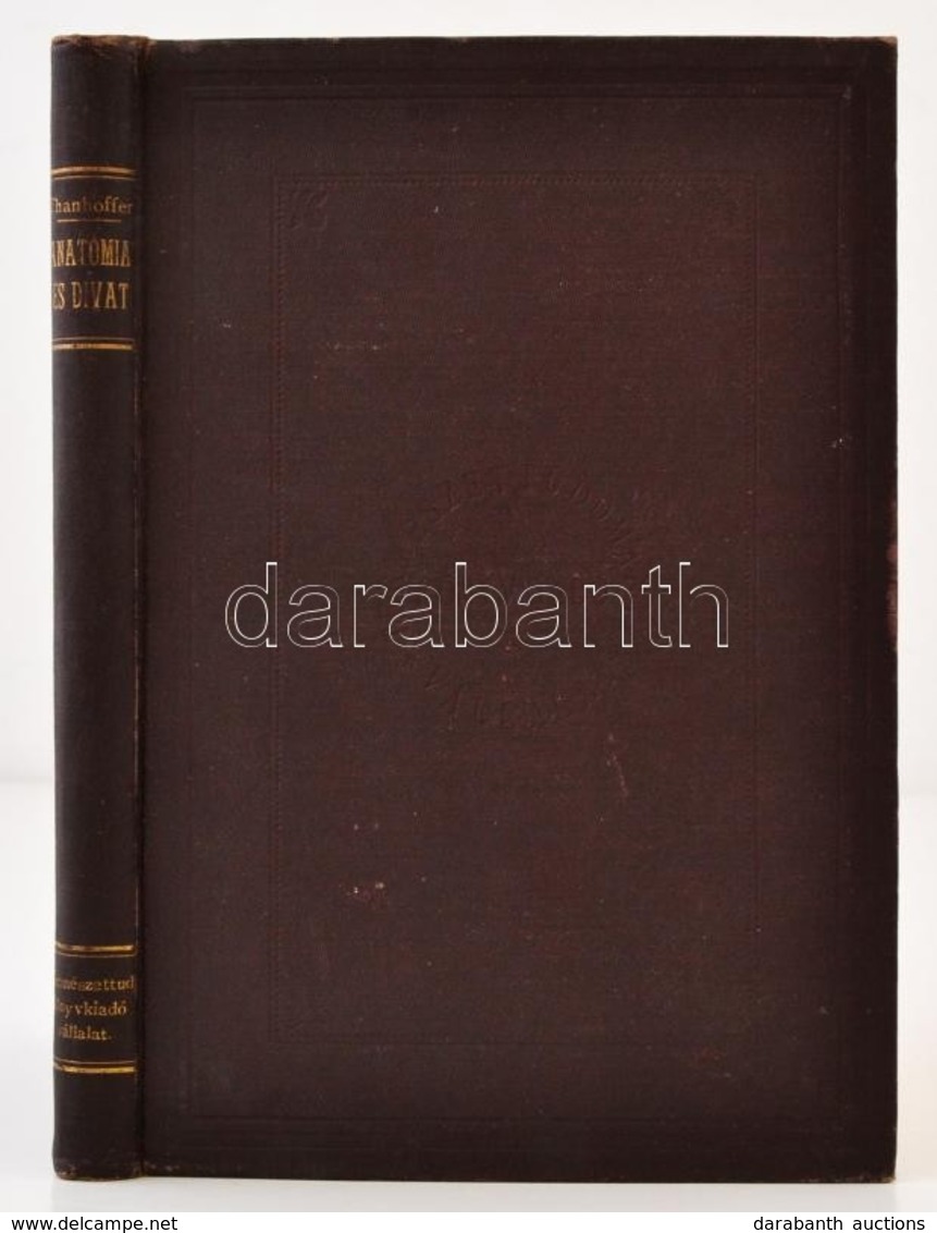 Thanhoffer Lajos: Anatómia és Divat
Három Népszerű Előadás. 114 ábrával és 4 Táblával.Bp., 1901. K. M. Természettudomány - Sin Clasificación